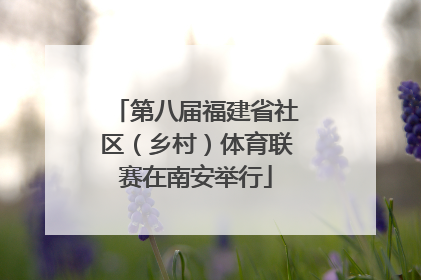 第八届福建省社区（乡村）体育联赛在南安举行